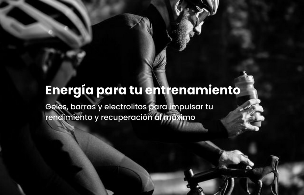 Banner_Principal_S-Wellu