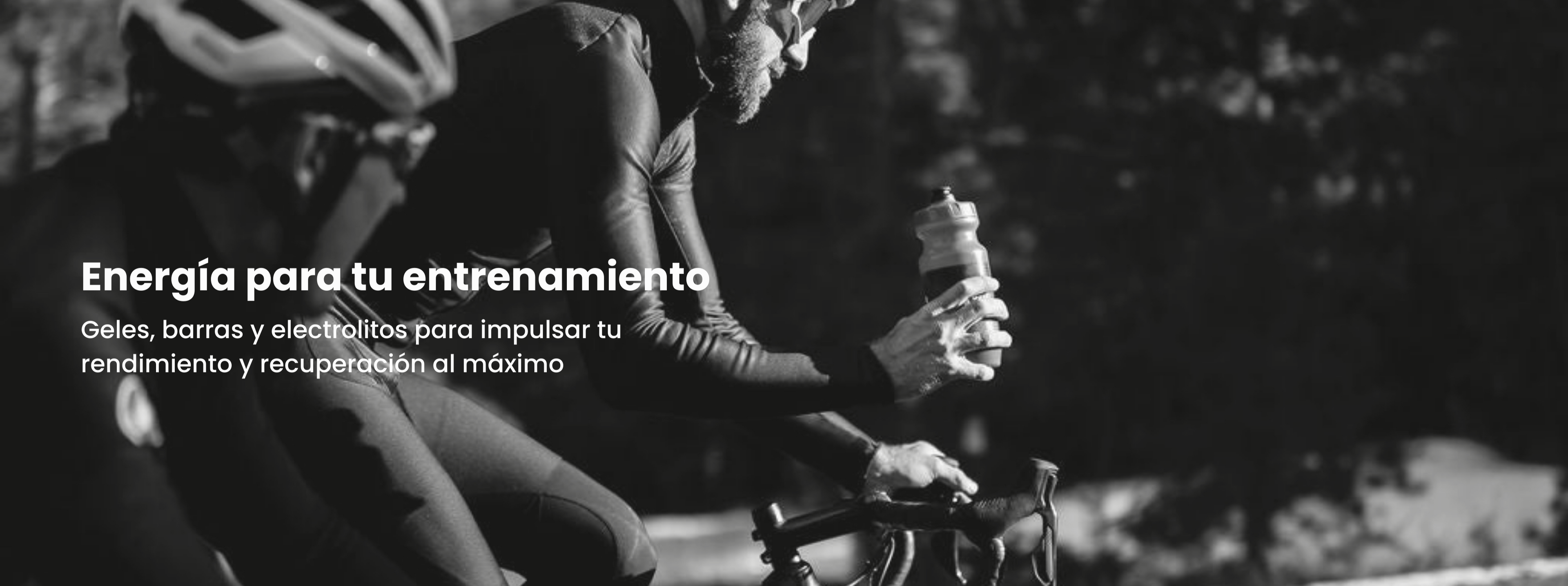 Banner_Principal_S-Wellu