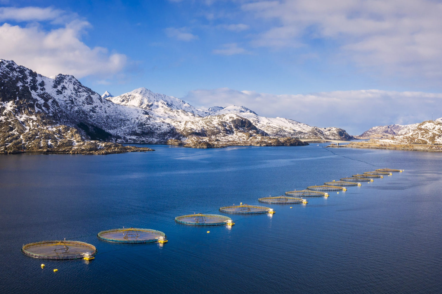 Salmon-farm-in-Lofoten-Islands_Credit_Dieter_Meyrl_iStock-1146294272-scaled-Wellu