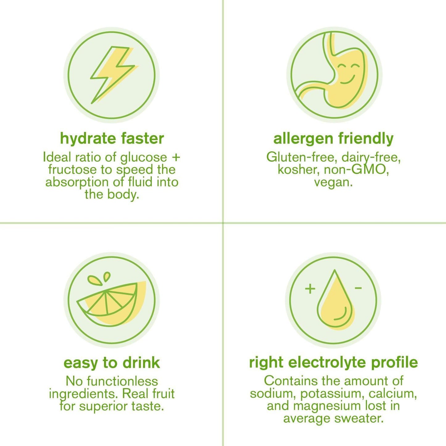 Skratch Labs Hydration Mix Lemons and Limes 440gr-Wellu