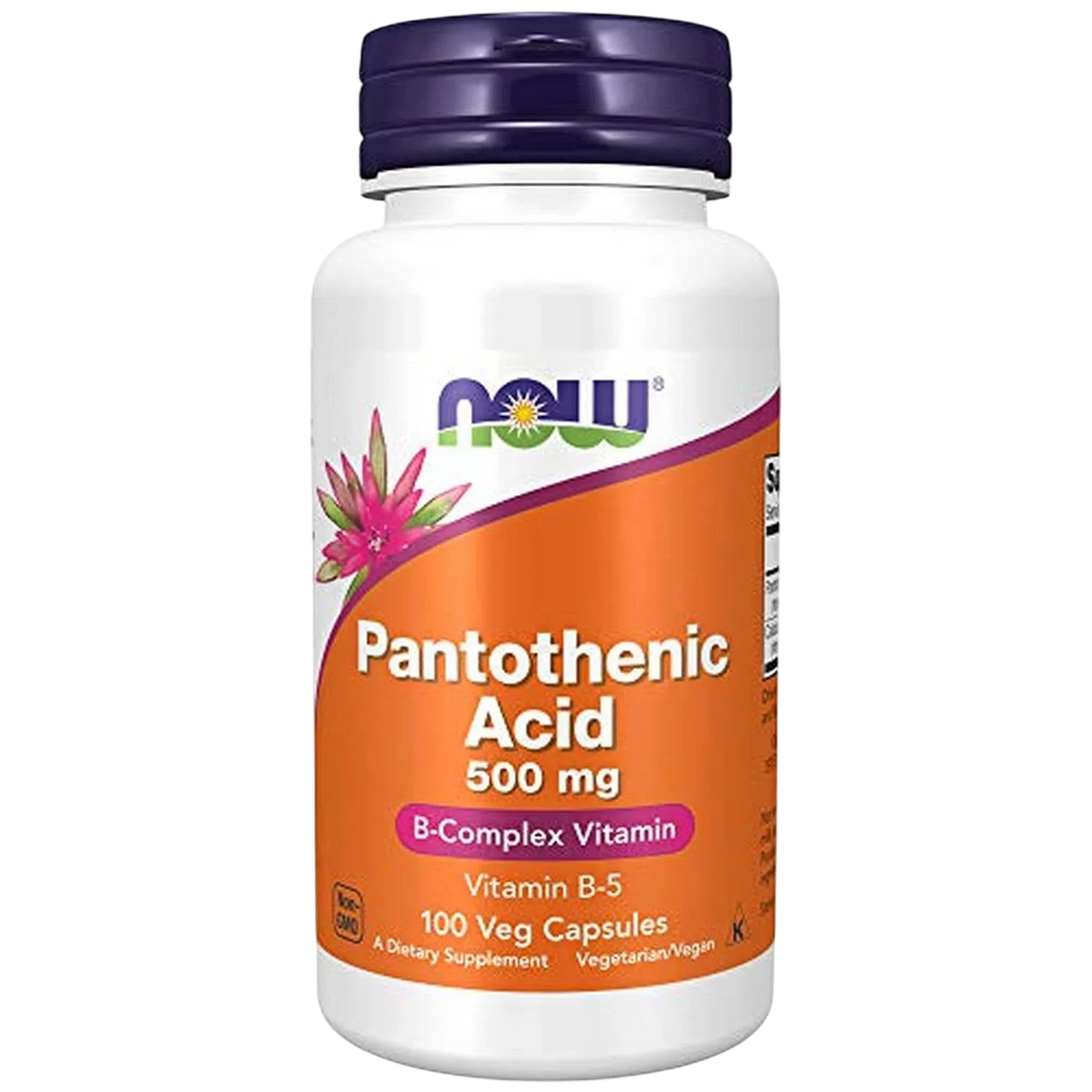 Acido Pantotenico 500mg, 100 Vegcaps – NOW Foods-Wellu