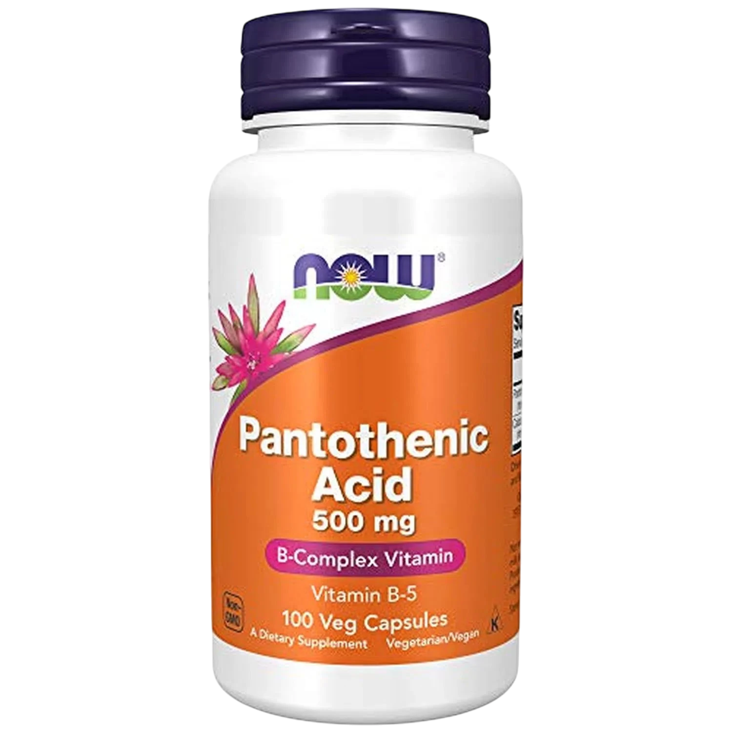 Acido Pantotenico 500mg, 100 Vegcaps – NOW Foods-Wellu