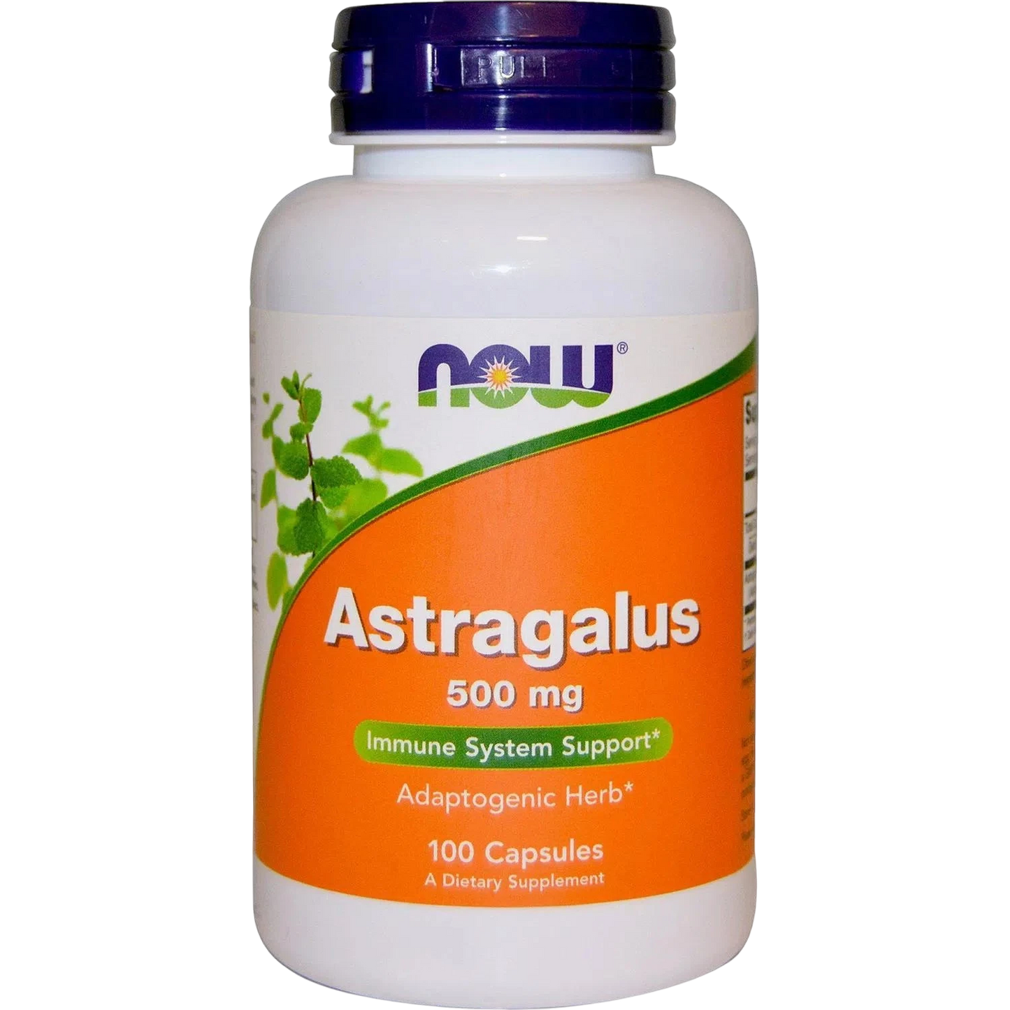 Astragalo Astragalus 500mg, 100 vegcaps – NOW Foods-Wellu