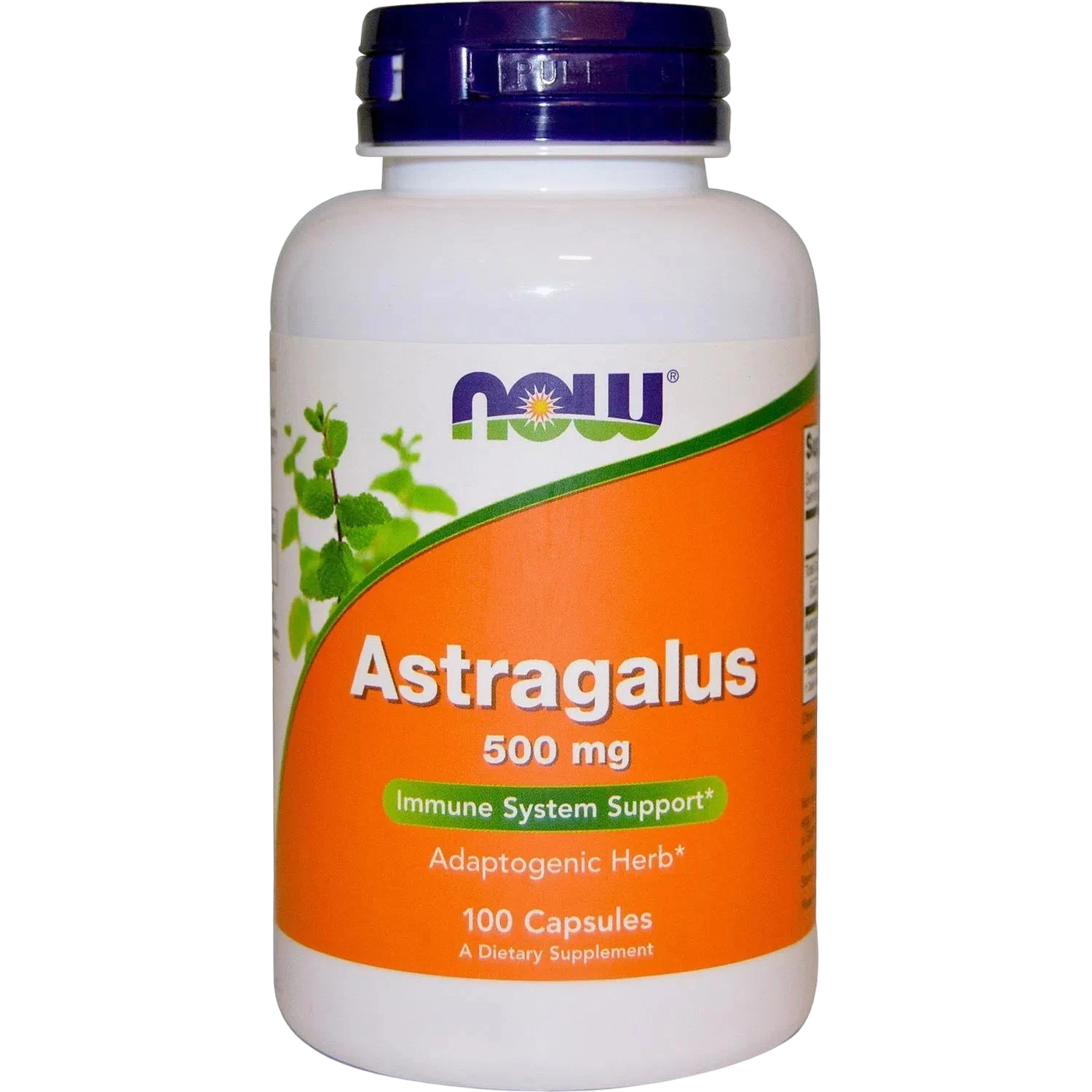 Astragalo Astragalus 500mg, 100 vegcaps – NOW Foods-Wellu