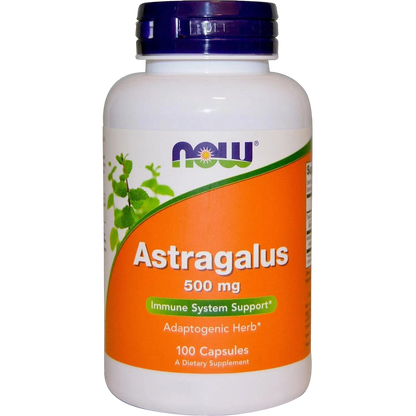 Astragalo Astragalus 500mg, 100 vegcaps – NOW Foods-Wellu