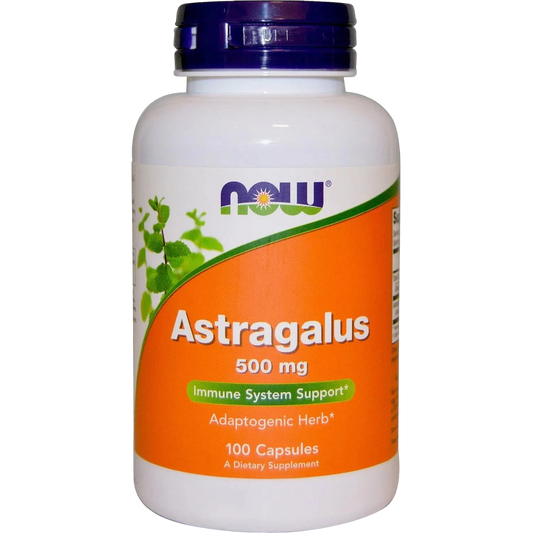 Astragalo Astragalus 500mg, 100 vegcaps – NOW Foods-Wellu