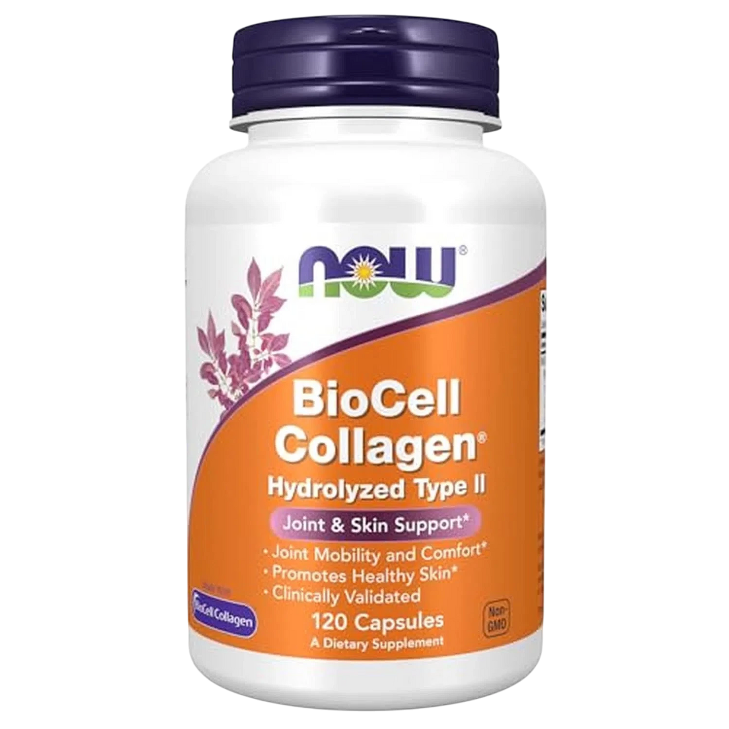 Biocell Collagen Colageno Tipo II, 120 Caps – NOW Foods-Wellu