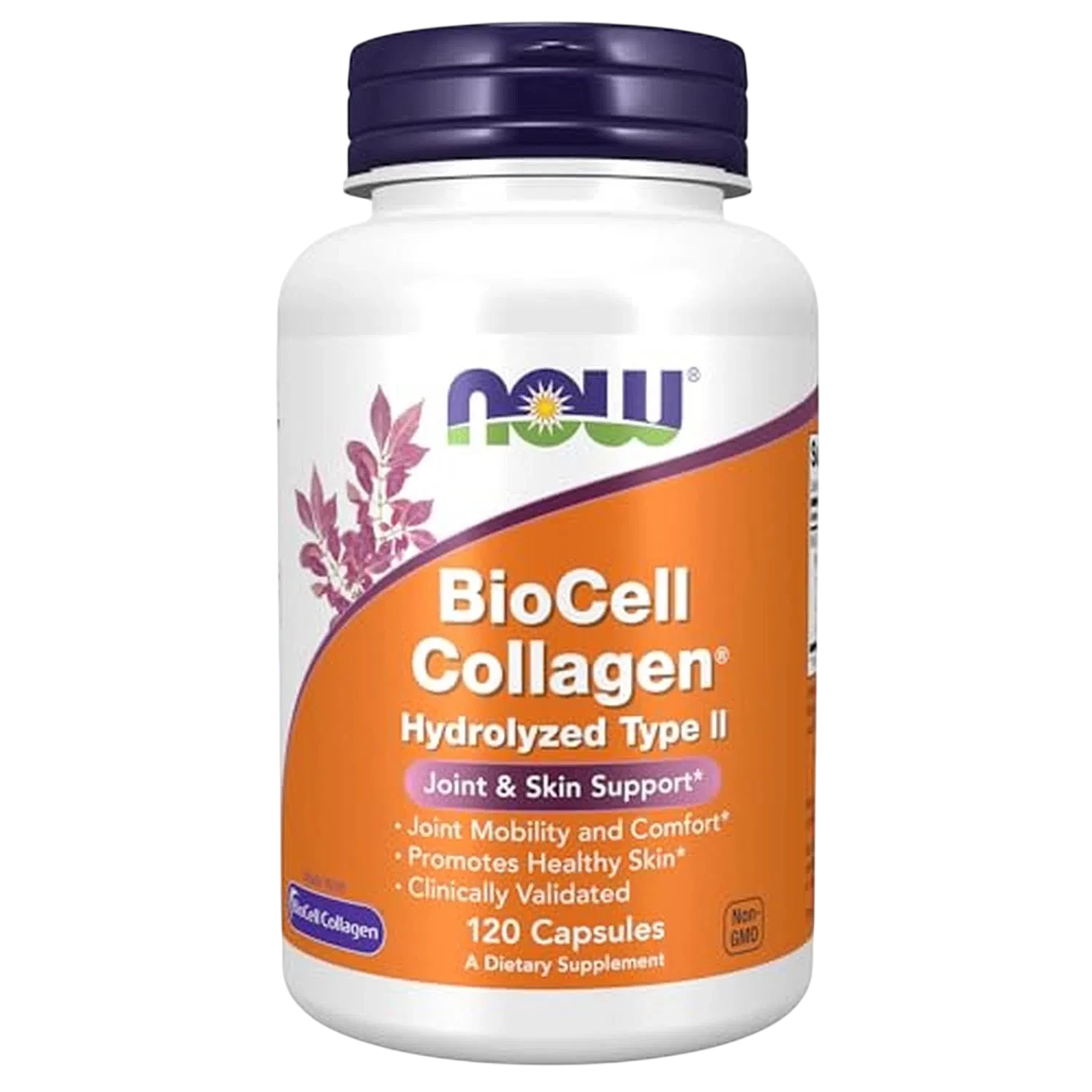 Biocell Collagen Colageno Tipo II, 120 Caps – NOW Foods-Wellu