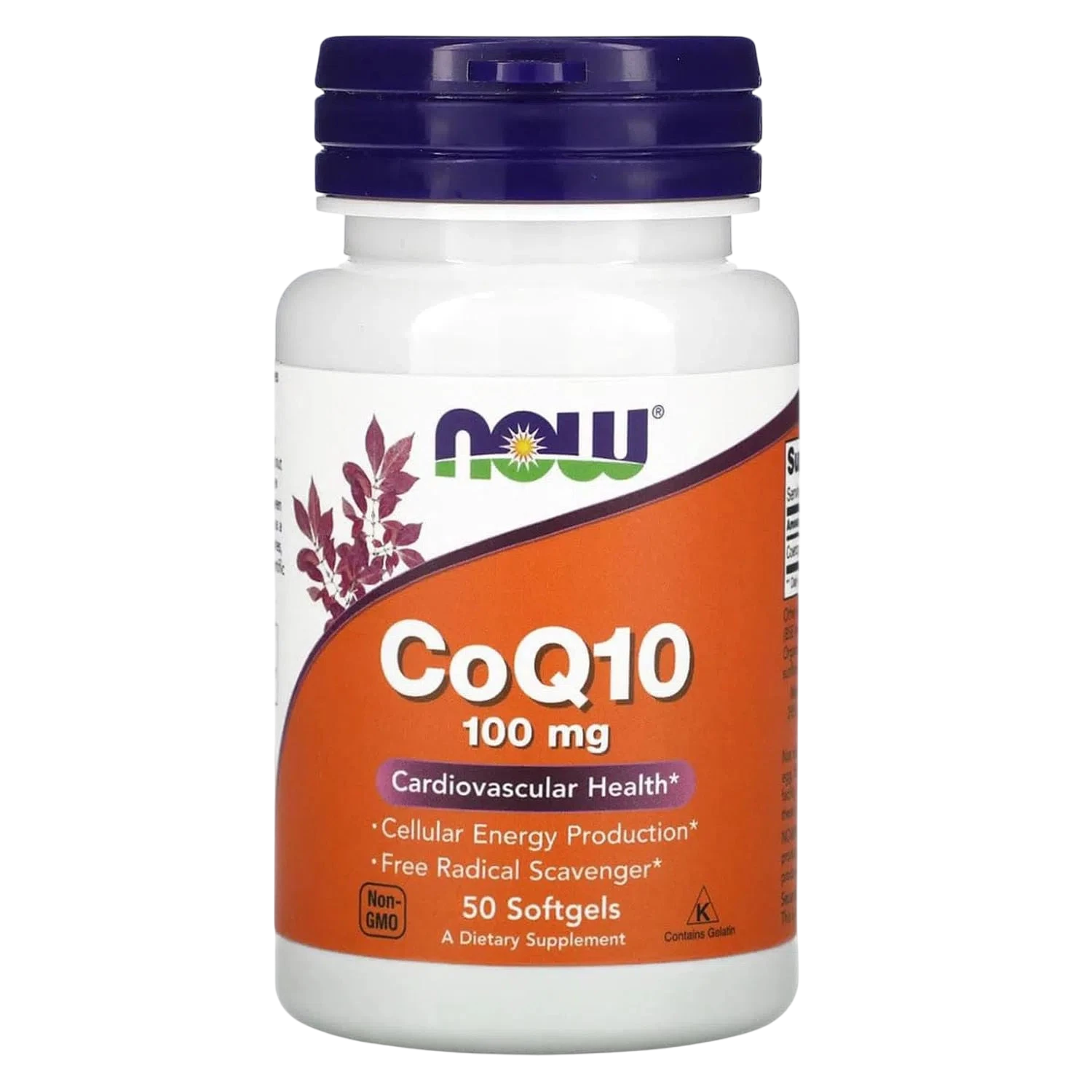 CoQ10 de 100 mg, 50 Softgels – NOW Foods-Wellu