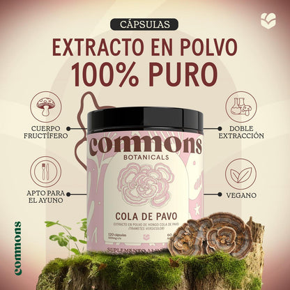 Cola de Pavo , 120 cápsulas – Commons-Wellu