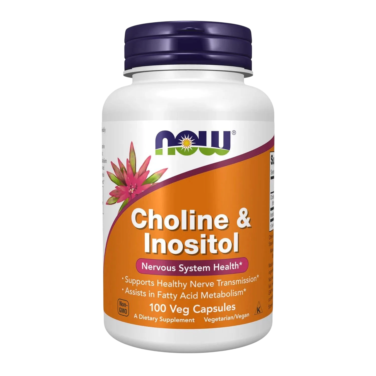 Colina e inositol, 100 Cápsulas Veg – NOW Foods-Wellu