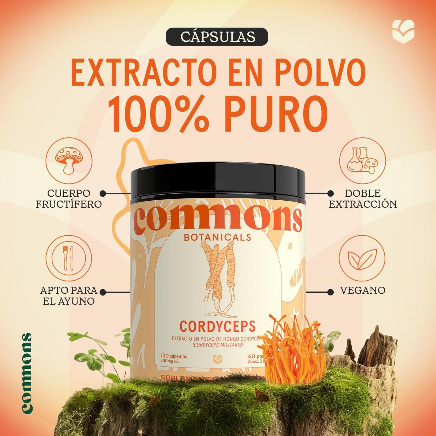 Cordyceps , 120 cápsulas – Commons-Wellu