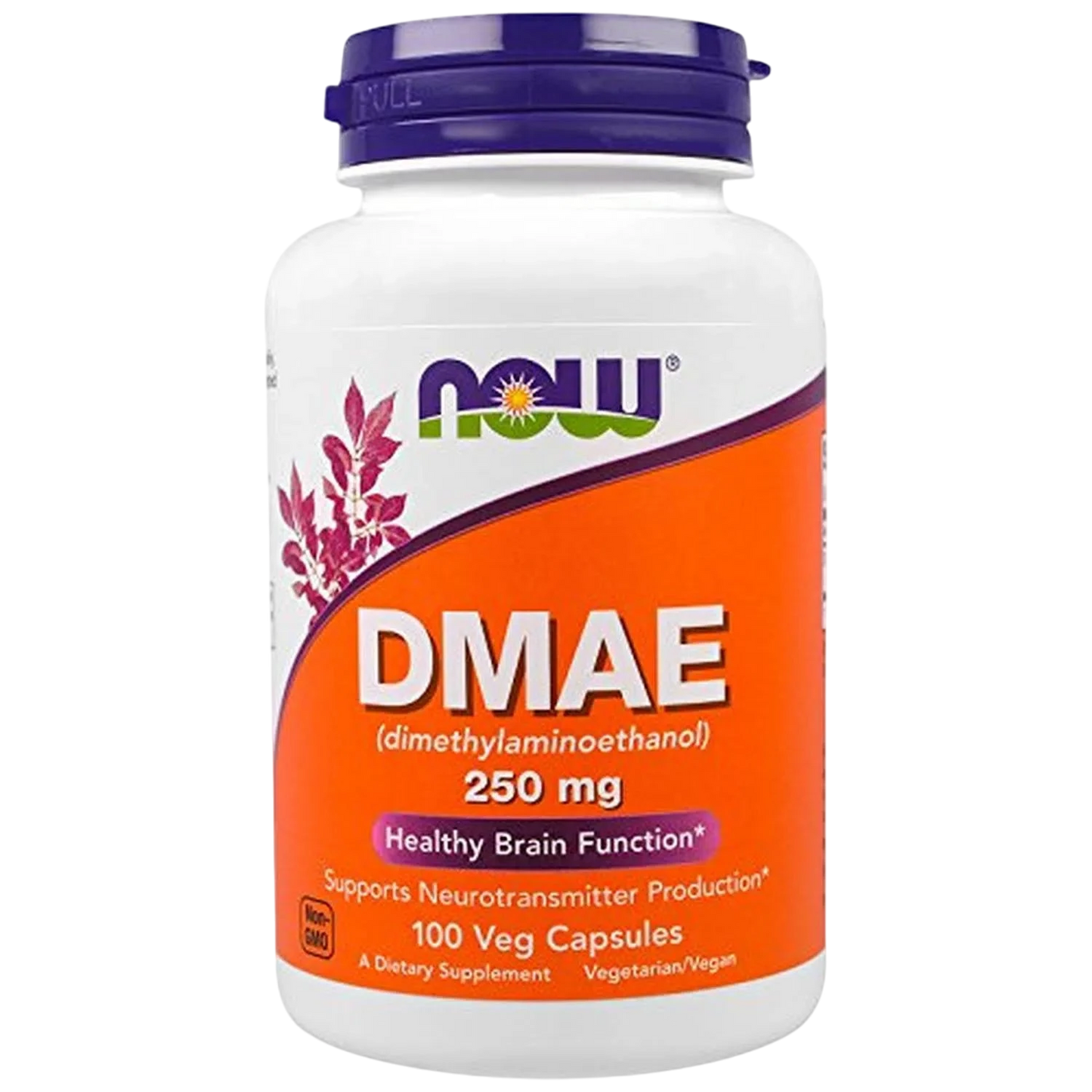 DMAE 250 mg, 100 Caps – NOW Foods-Wellu