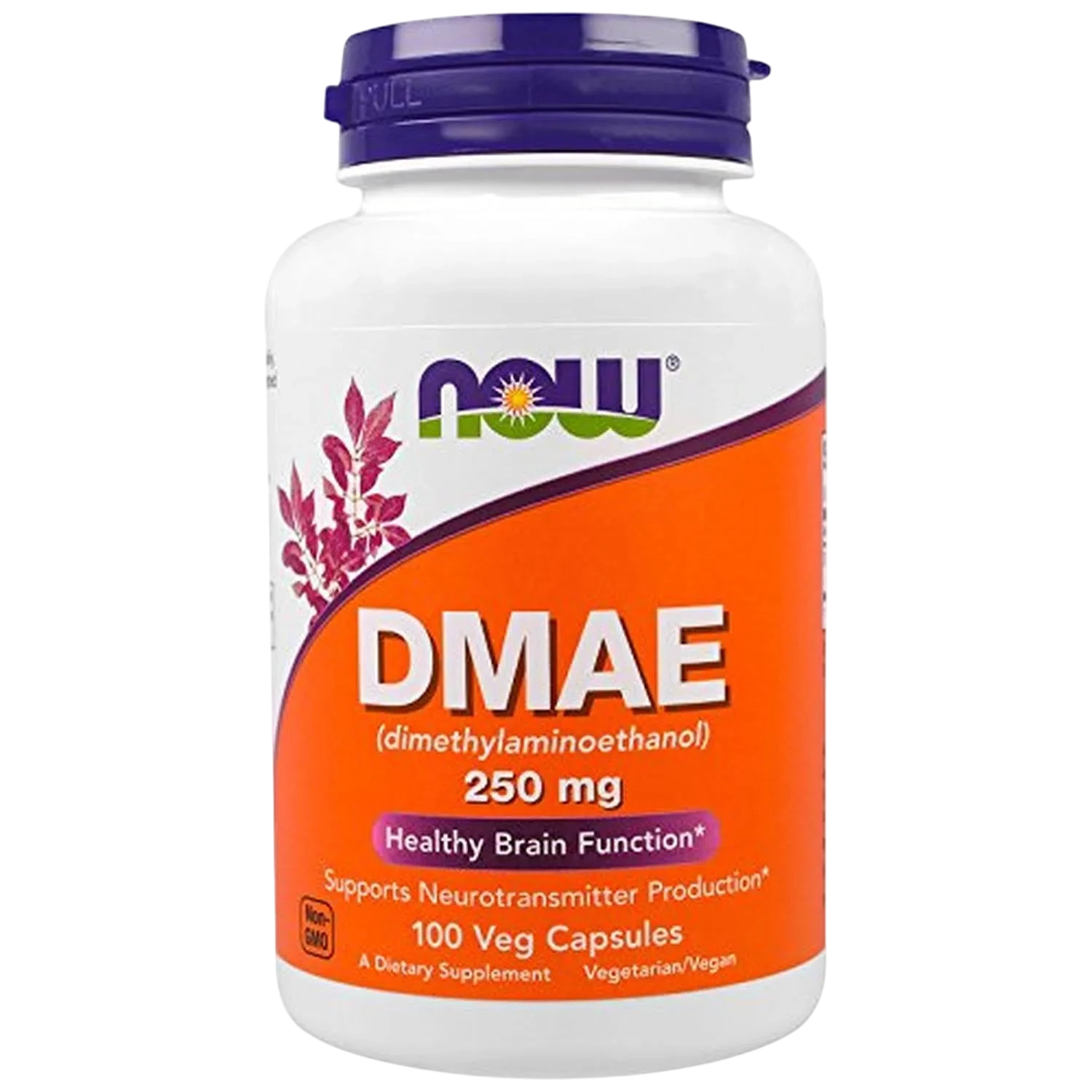 DMAE 250 mg, 100 Caps – NOW Foods-Wellu