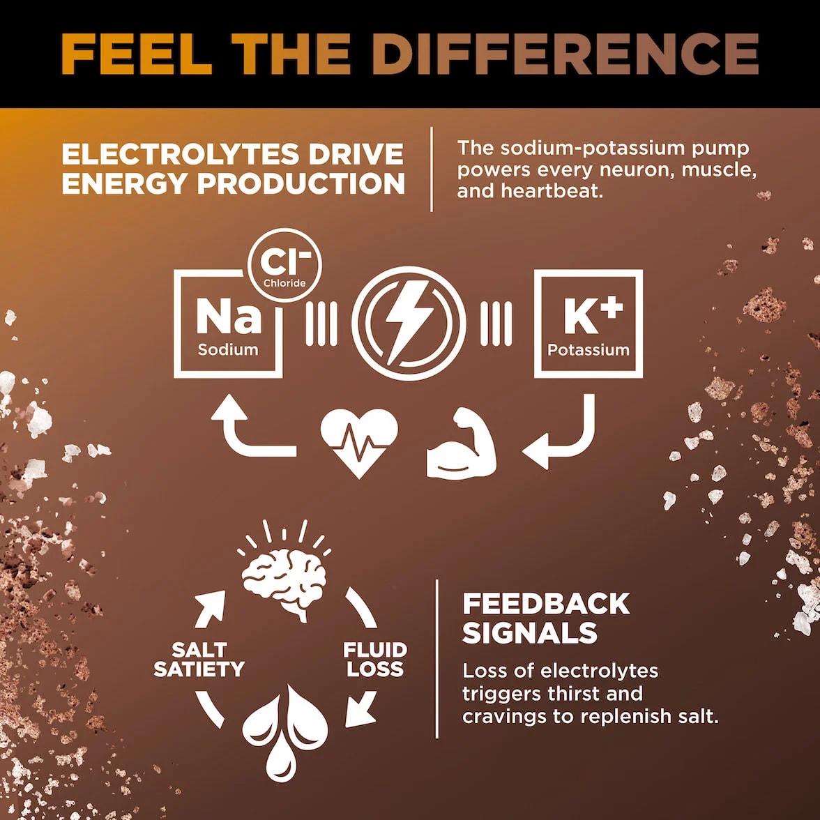 Electrolyte Drink Mix Chocolate Caramel, 6g (c/30 pz) – LMNT