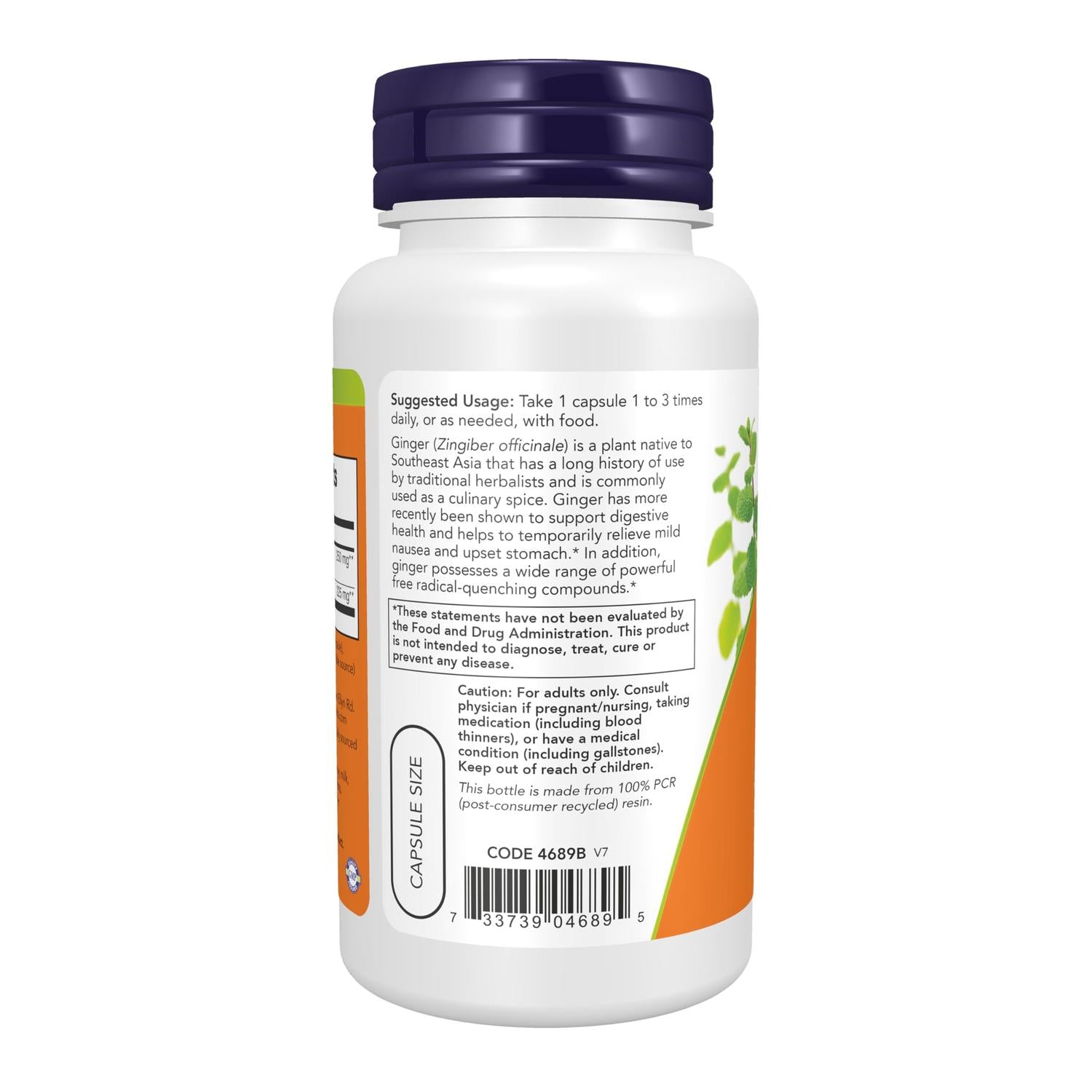 Extracto de Raíz de Jengibre 250mg, 90 cápsulas – NOW Foods-Wellu