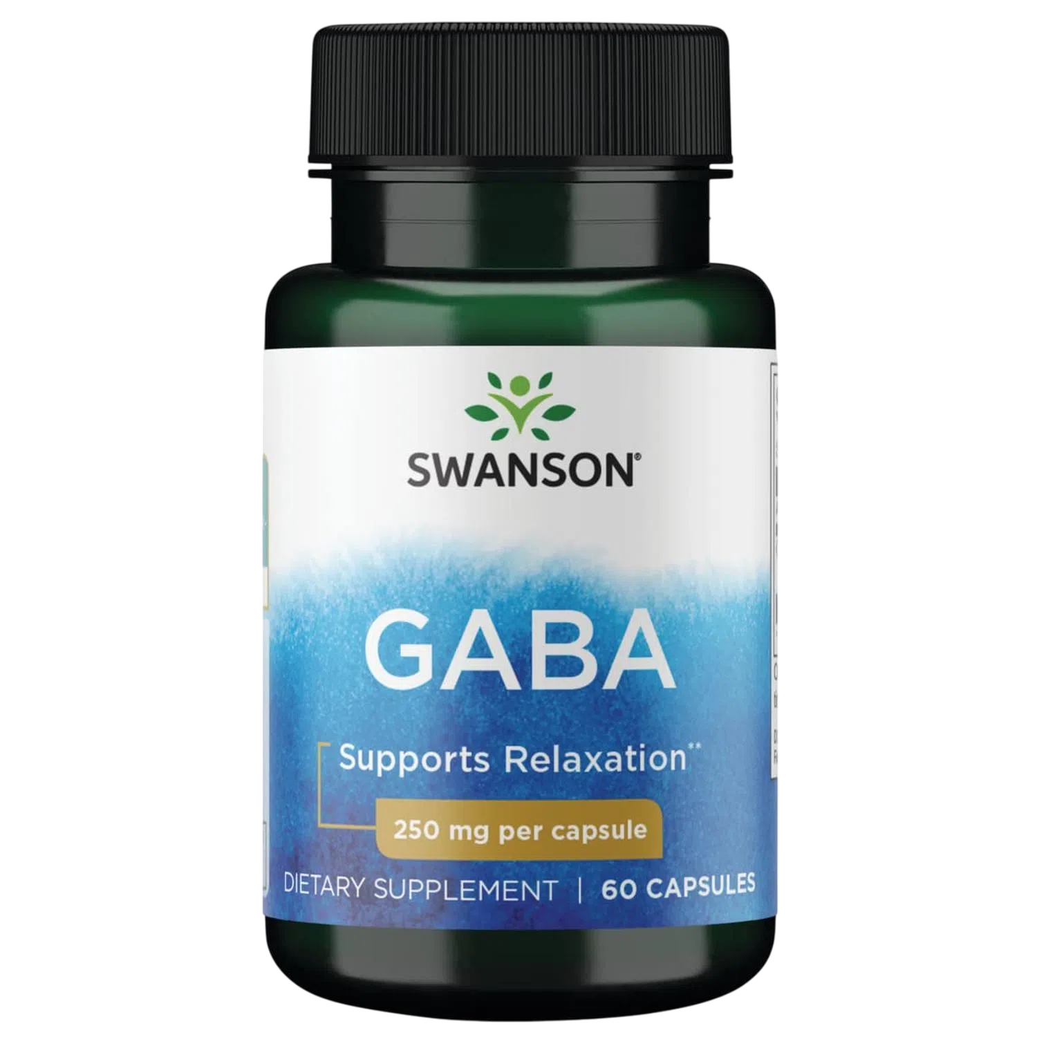 Gaba 250mg, 60 Caps – Swanson-Wellu