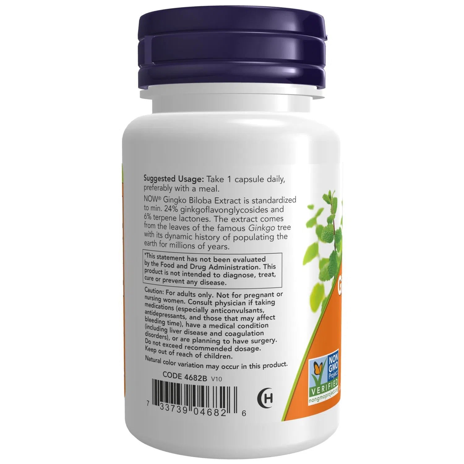 Ginkgo Biloba Double Strength 120Mg 50 Caps – NOW Foods-Wellu