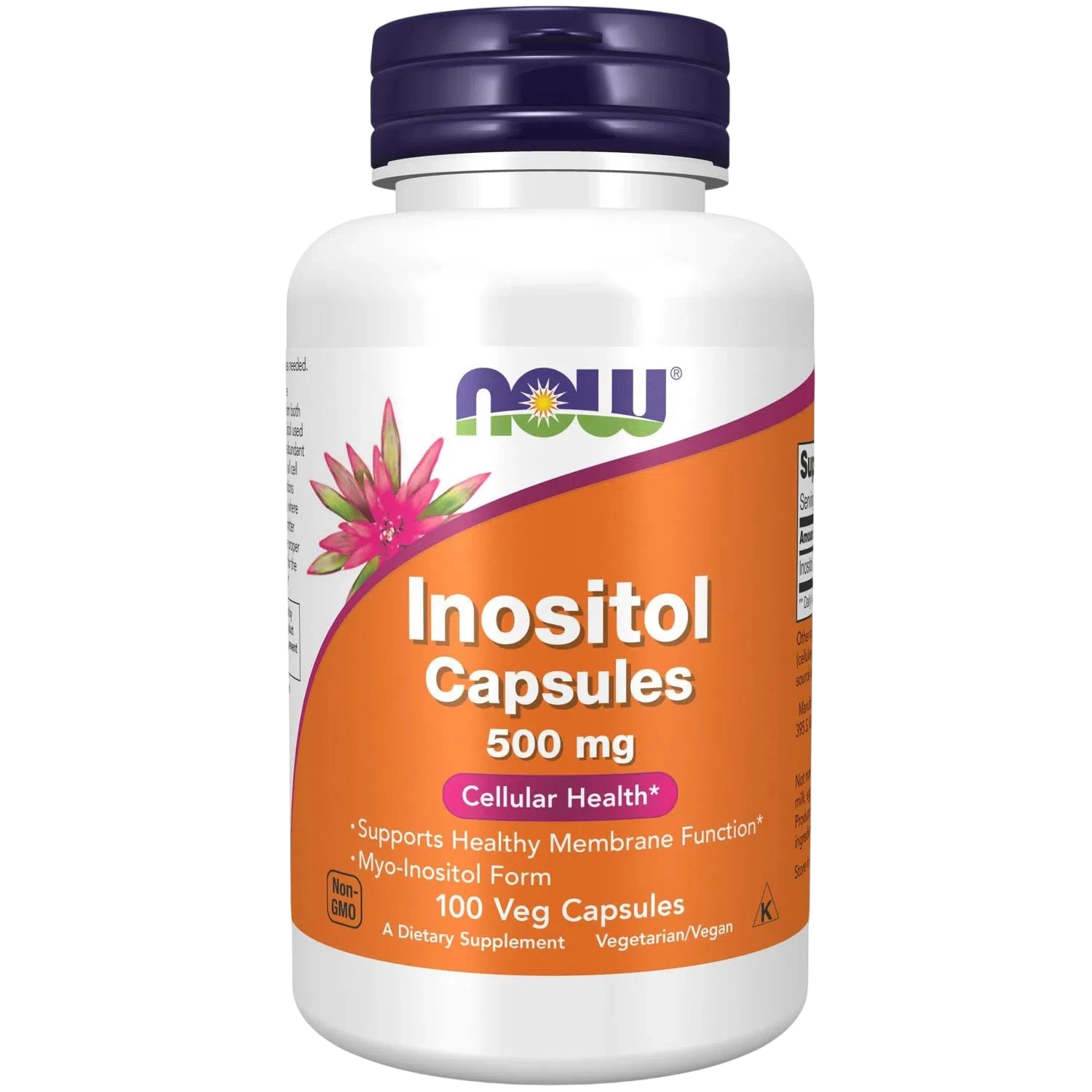 Inositol de 500 mg, 100 Cápsulas Veg – NOW Foods-Wellu