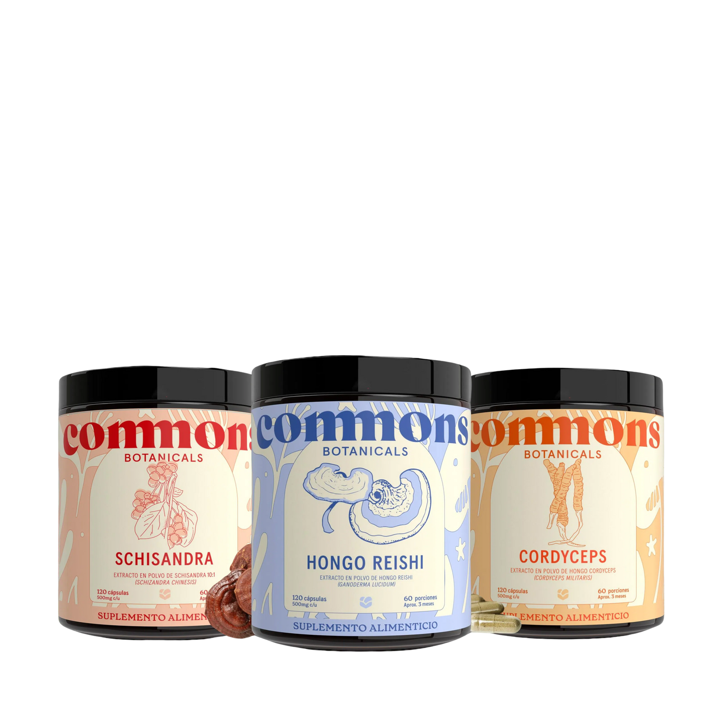 Kit Detox (Hígado) – Commons-Wellu