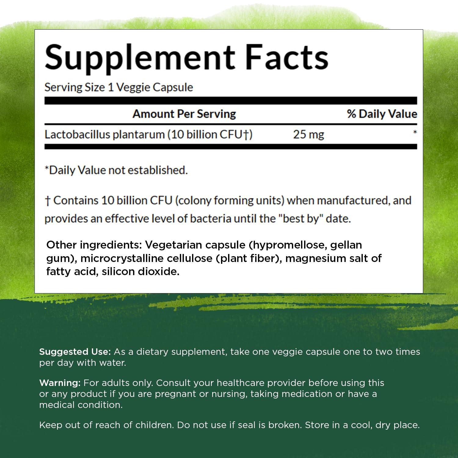 L-Plantarum Probiotic 10 Billion, 30 Capsulas – Swanson-Wellu