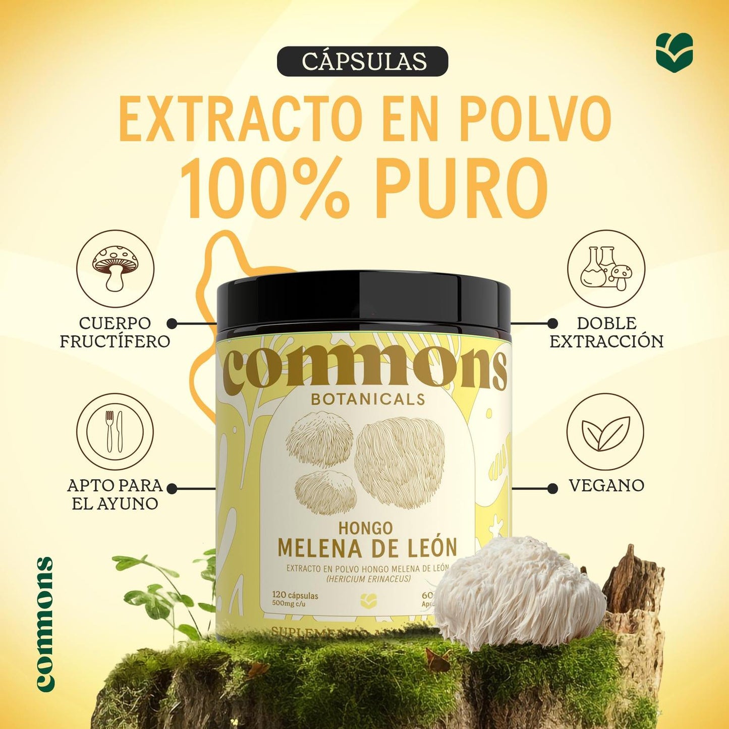 Melena de León , 120 cápsulas – Commons-Wellu