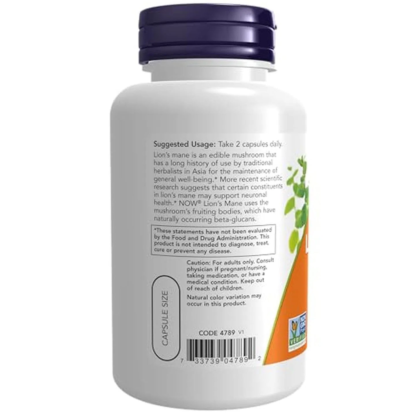 Melena de león de 500 mg, 60 Cápsulas Veg – NOW Foods-Wellu