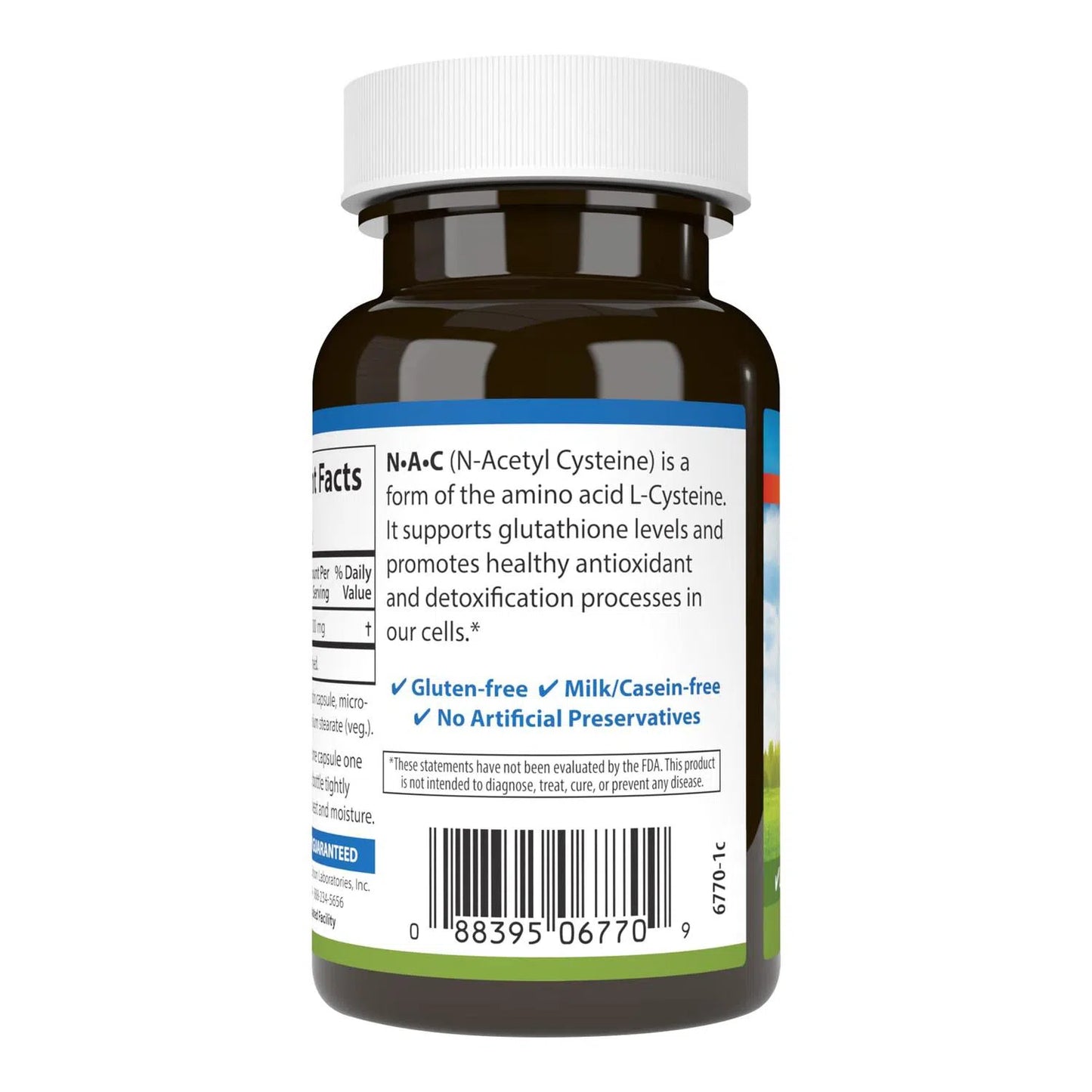 NAC 500 mg, 60 Cápsulas – Carlson Labs-Wellu