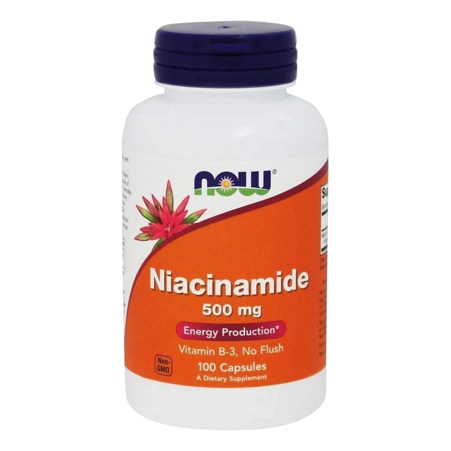 Niacinamide 500mg, 100 Caps-Wellu