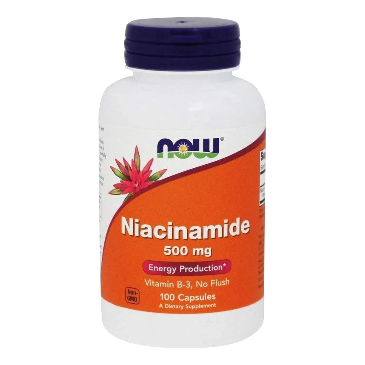 Niacinamide 500mg, 100 Caps-Wellu