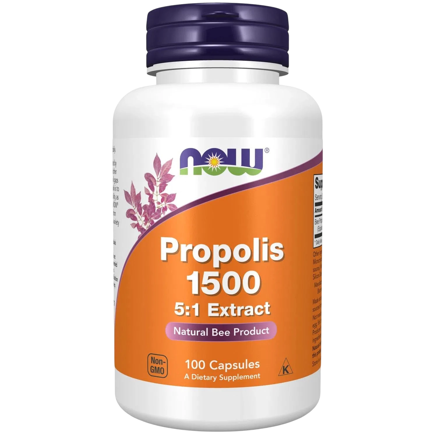 Propóleo 1500 , 100 Capsules – NOW Foods-Wellu