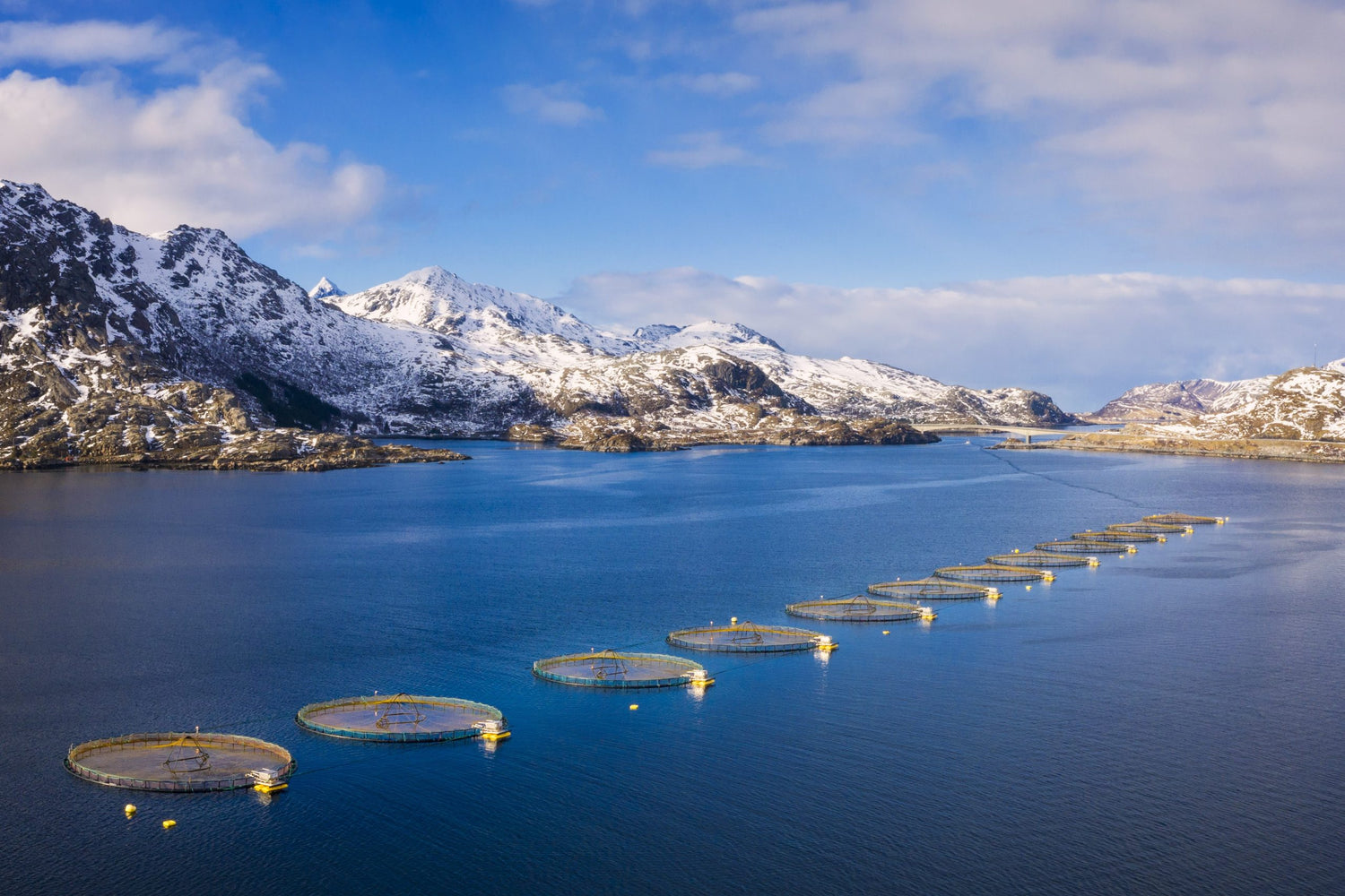 Salmon-farm-in-Lofoten-Islands_Credit_Dieter_Meyrl_iStock-1146294272-scaled-Wellu