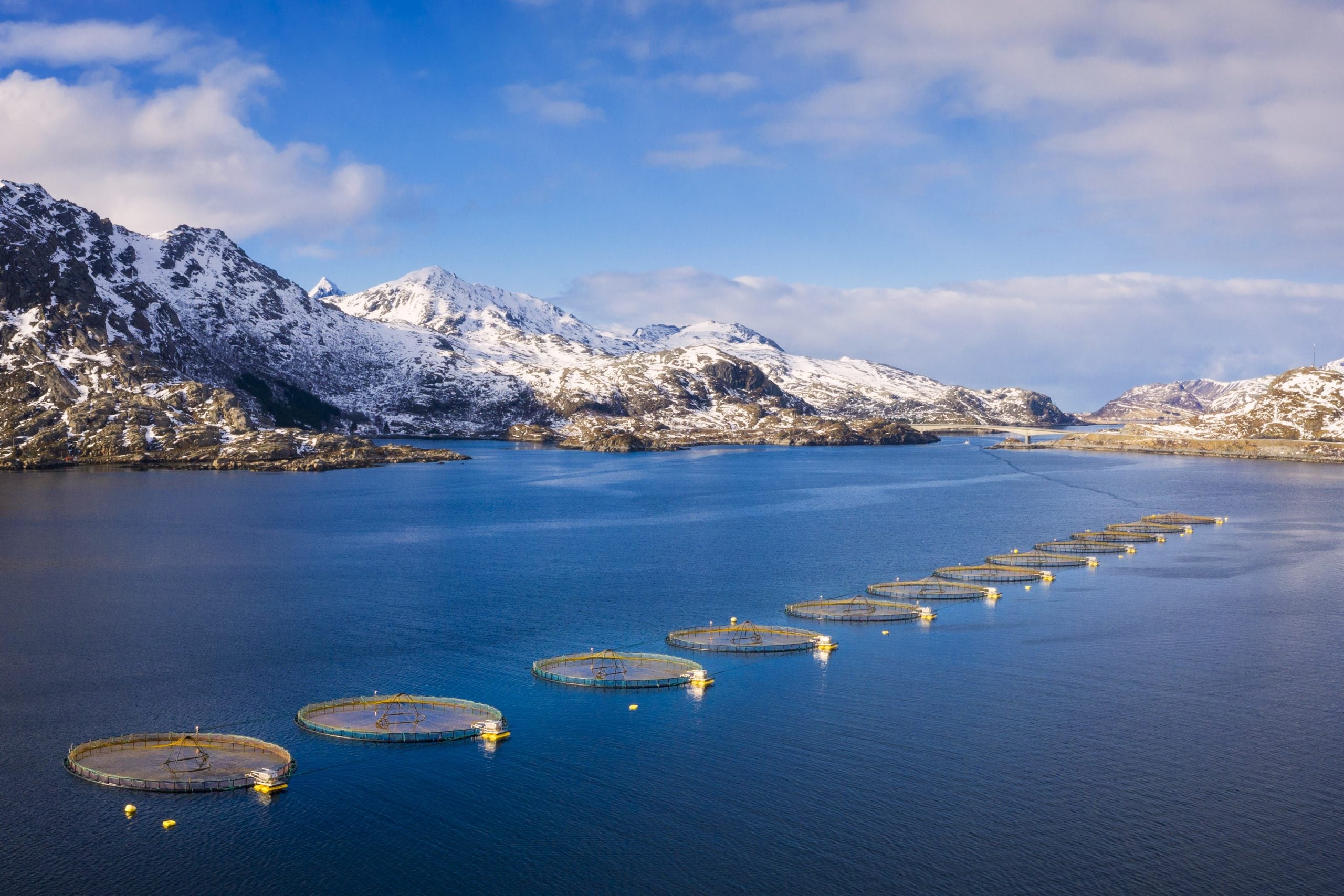 Salmon-farm-in-Lofoten-Islands_Credit_Dieter_Meyrl_iStock-1146294272-scaled_c9e98ede-58ba-42a2-8634-9166c88c6e24-Wellu