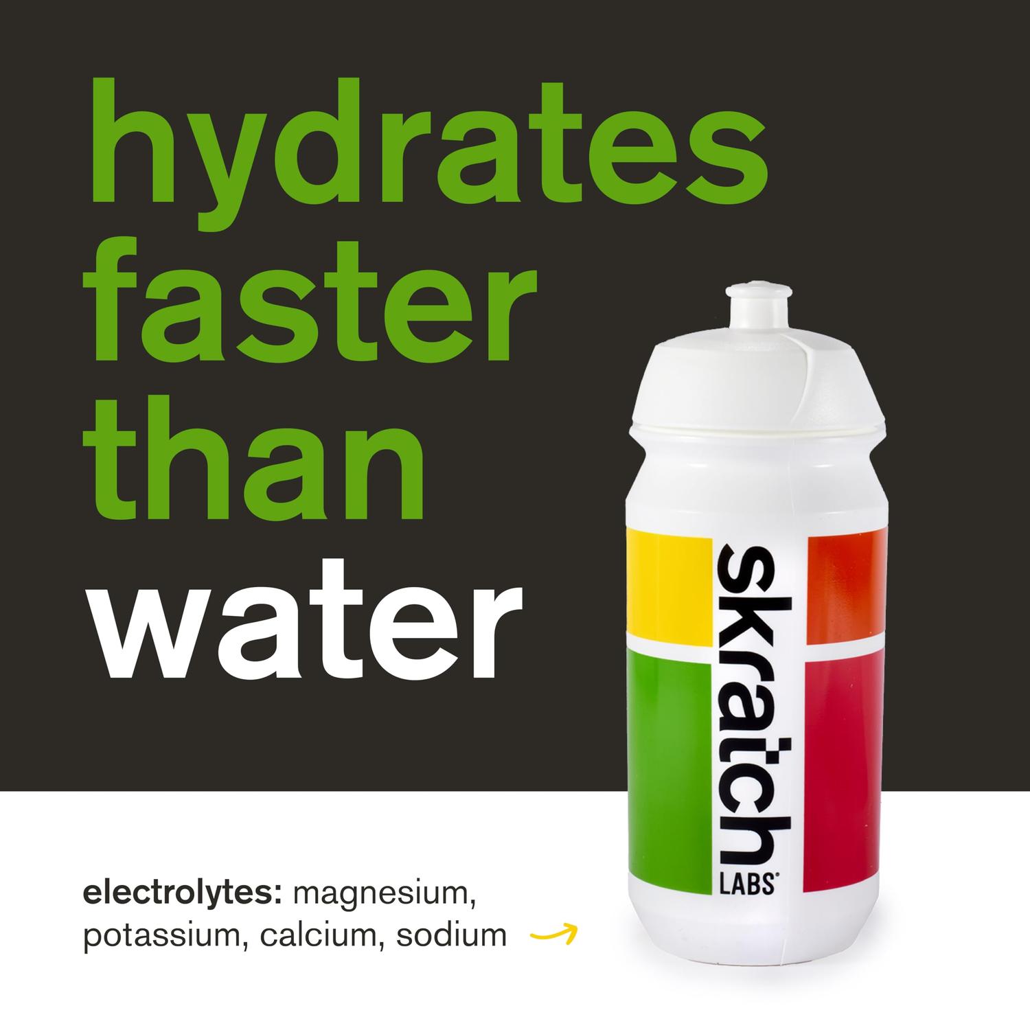 Skratch Labs Hydration Mix Lemons and Limes 440gr-Wellu