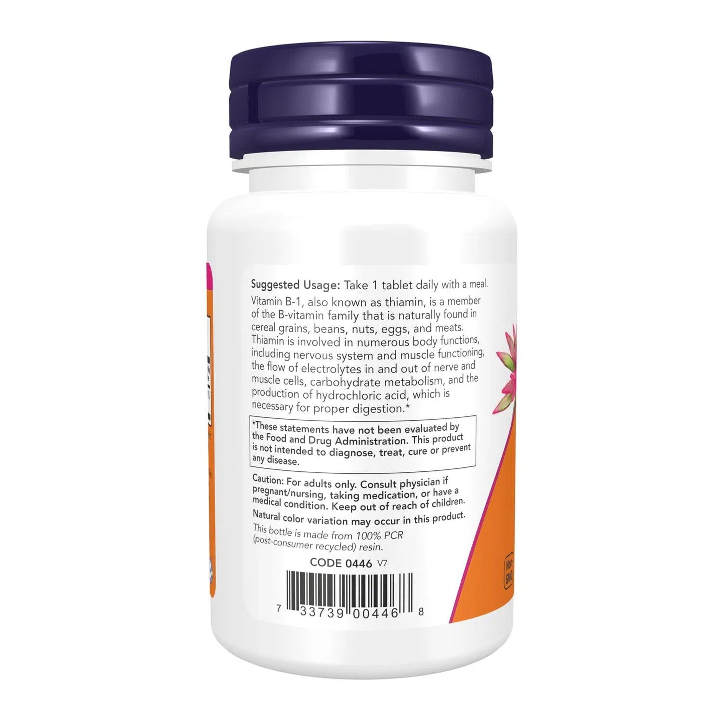 Vitamina B-1 de 100 mg, 100 Tabletas – NOW Foods-Wellu