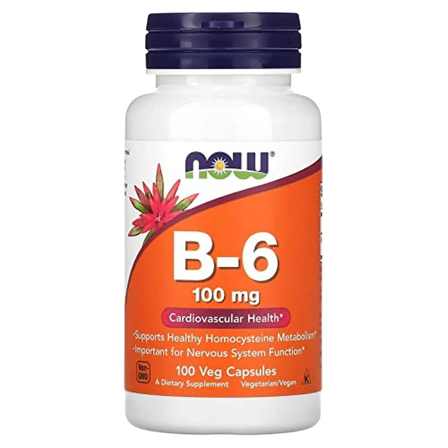 Vitamina B-6 de 100 mg, 100 Cápsulas Veg – NOW Foods-Wellu