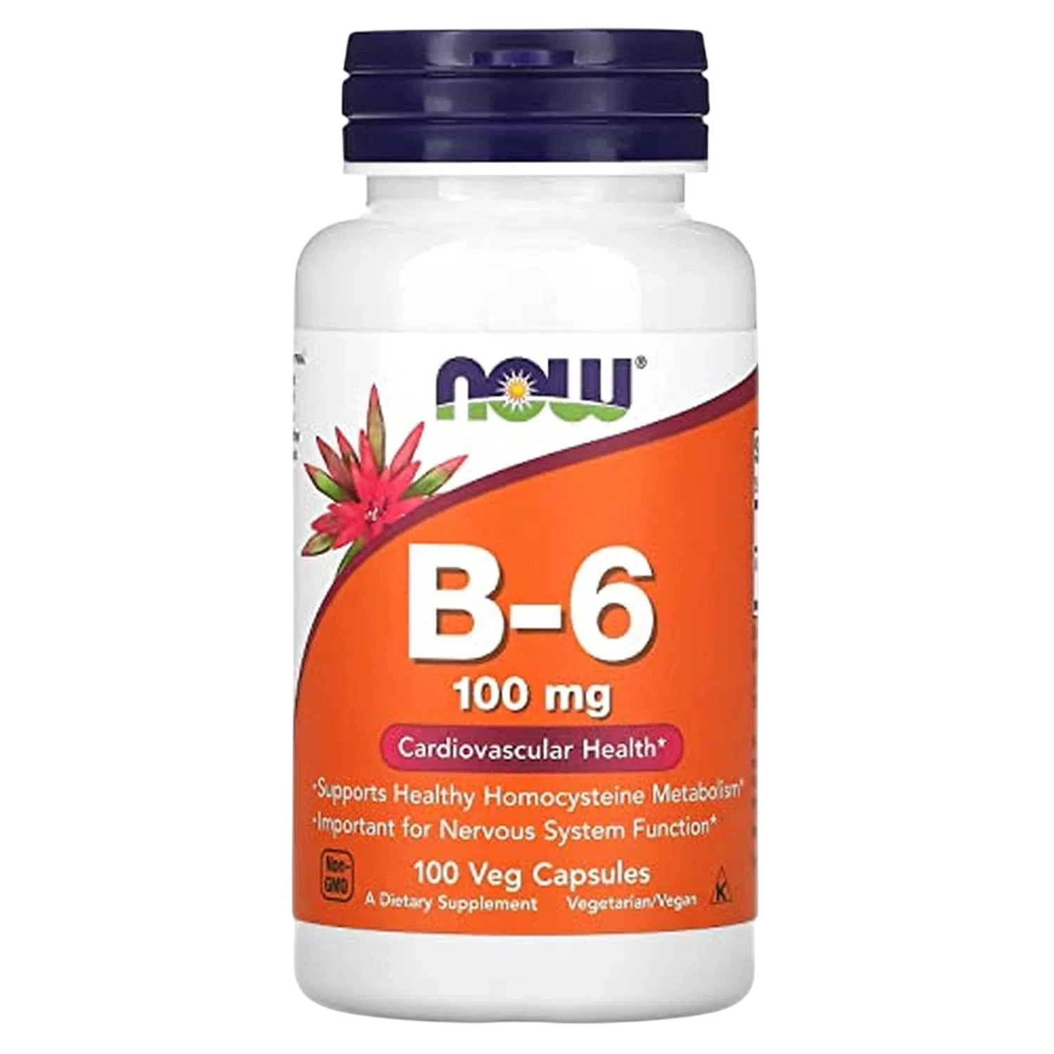 Vitamina B-6 de 100 mg, 100 Cápsulas Veg – NOW Foods-Wellu